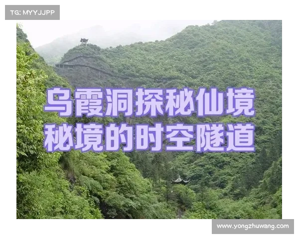 隐匿洞穴行动中的五大核心战略与实施关键步骤解析 隐匿洞穴行动中的五大核心战略与实施关键步骤解析