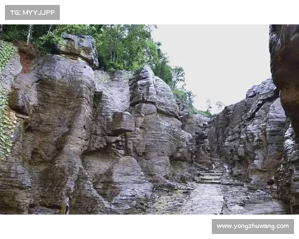 探索朱雀天境的十大神秘面纱揭开之旅与未知力量的深度解析
