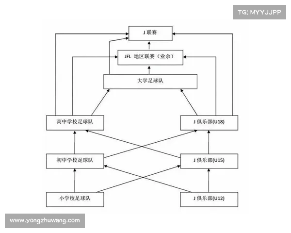 全面解析足球虚拟队常见类型与核心特点及未来应用新发展方向趋势