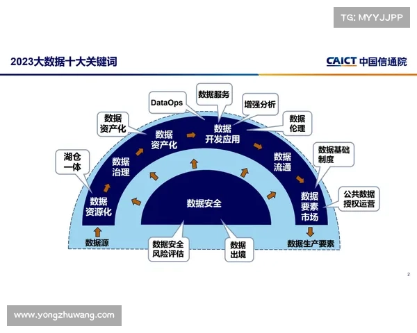 揭示英冠假象背后的深层逻辑与五大关键诱因全面解析